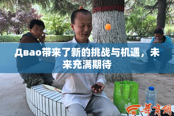 Двао带来了新的挑战与机遇，未来充满期待