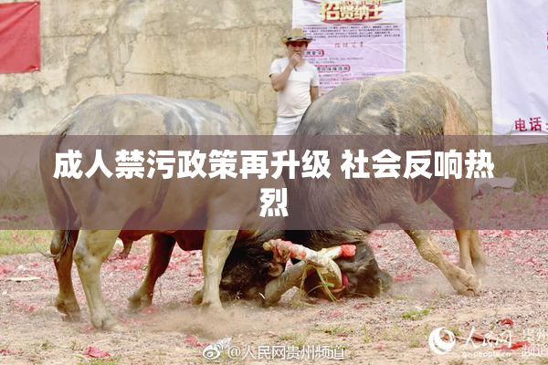 成人禁污政策再升级 社会反响热烈