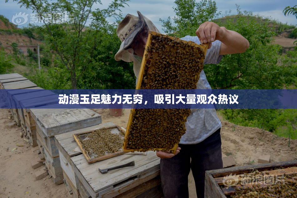 动漫玉足魅力无穷，吸引大量观众热议