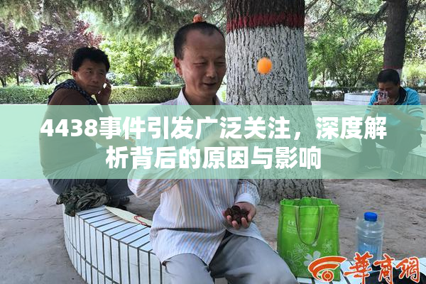 4438事件引发广泛关注，深度解析背后的原因与影响