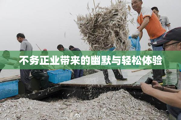 不务正业带来的幽默与轻松体验