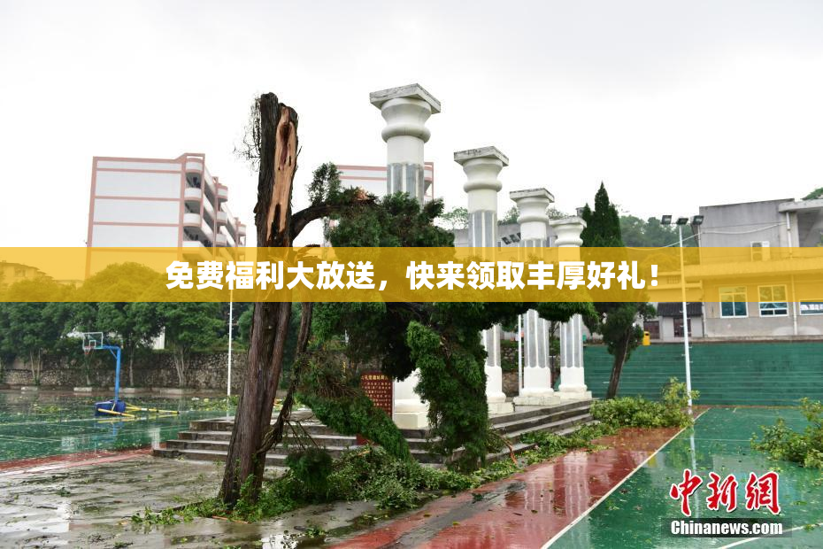 免费福利大放送，快来领取丰厚好礼！