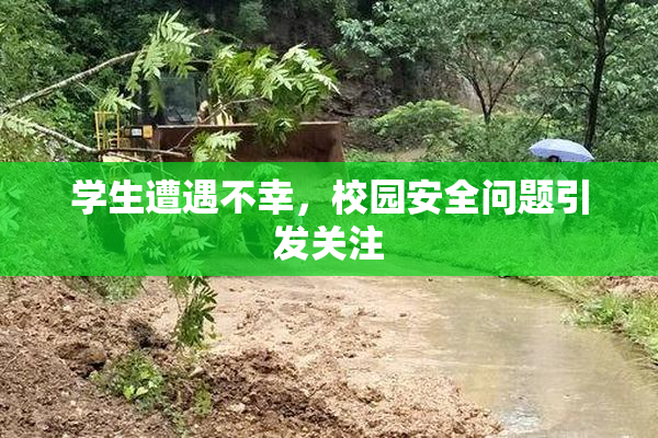 学生遭遇不幸，校园安全问题引发关注