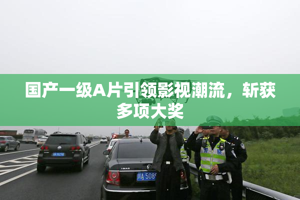 国产一级A片引领影视潮流，斩获多项大奖