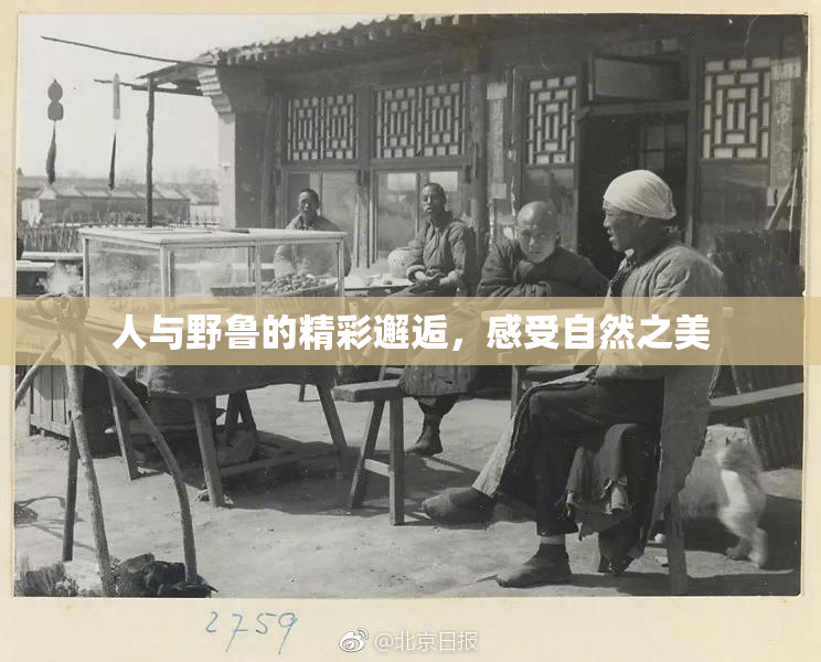 人与野鲁的精彩邂逅，感受自然之美