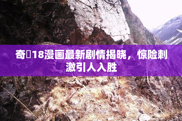 奇犽18漫画最新剧情揭晓，惊险刺激引人入胜