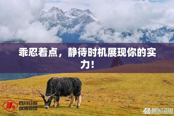 乖忍着点，静待时机展现你的实力！