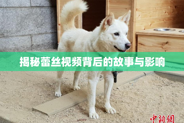 揭秘蕾丝视频背后的故事与影响