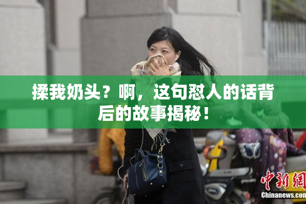 揉我奶头？啊，这句怼人的话背后的故事揭秘！