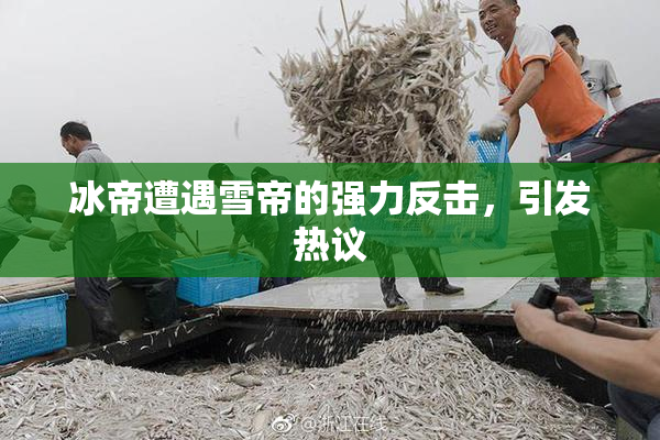 冰帝遭遇雪帝的强力反击，引发热议