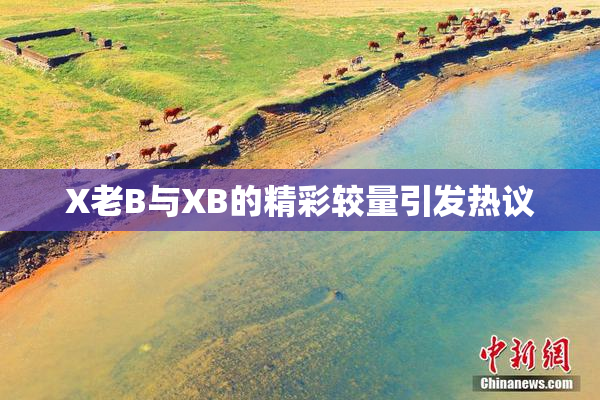 X老B与XB的精彩较量引发热议