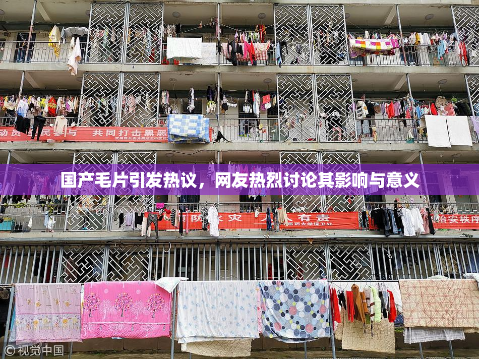 国产毛片引发热议，网友热烈讨论其影响与意义