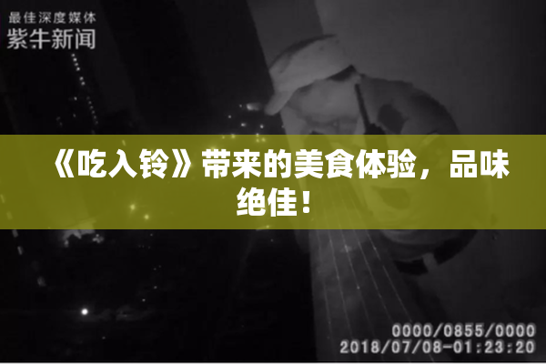 《吃入铃》带来的美食体验，品味绝佳！