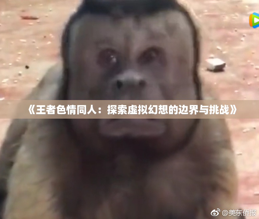 《王者色情同人：探索虚拟幻想的边界与挑战》