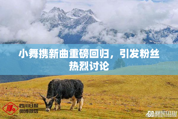 小舞携新曲重磅回归，引发粉丝热烈讨论