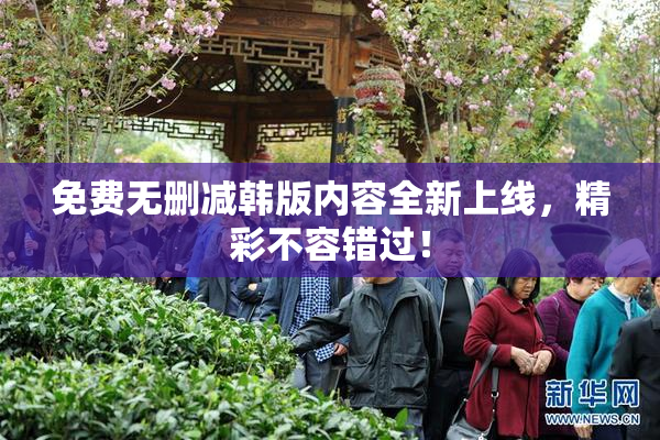 免费无删减韩版内容全新上线，精彩不容错过！