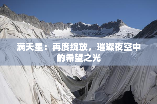 满天星：再度绽放，璀璨夜空中的希望之光