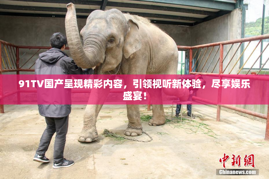 91TV国产呈现精彩内容，引领视听新体验，尽享娱乐盛宴！