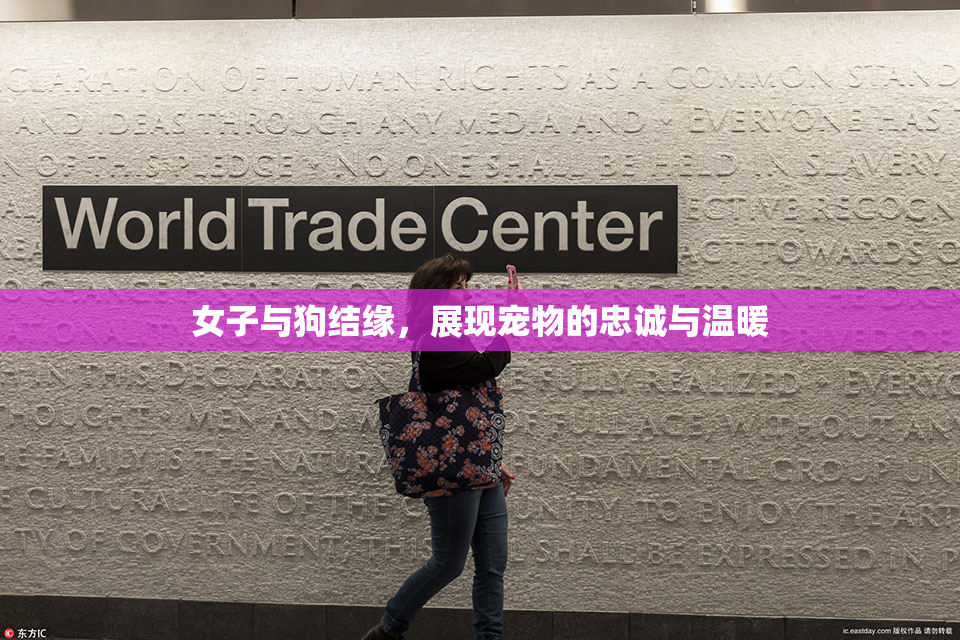 女子与狗结缘，展现宠物的忠诚与温暖