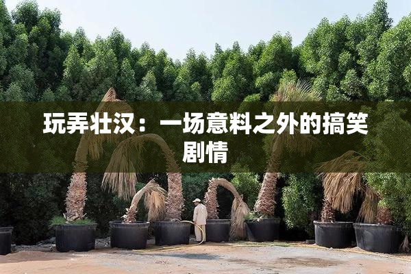 玩弄壮汉：一场意料之外的搞笑剧情