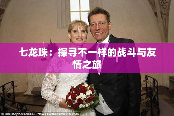 七龙珠：探寻不一样的战斗与友情之旅