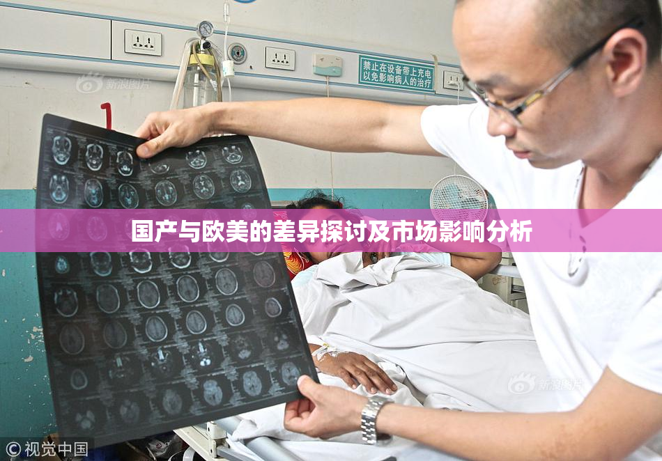 国产与欧美的差异探讨及市场影响分析