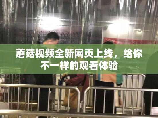 蘑菇视频全新网页上线，给你不一样的观看体验