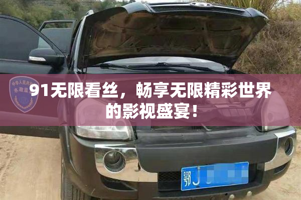 91无限看丝，畅享无限精彩世界的影视盛宴！