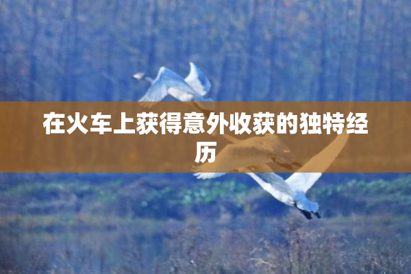在火车上获得意外收获的独特经历