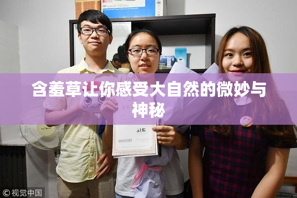 含羞草让你感受大自然的微妙与神秘
