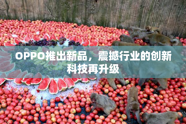 OPPO推出新品，震撼行业的创新科技再升级