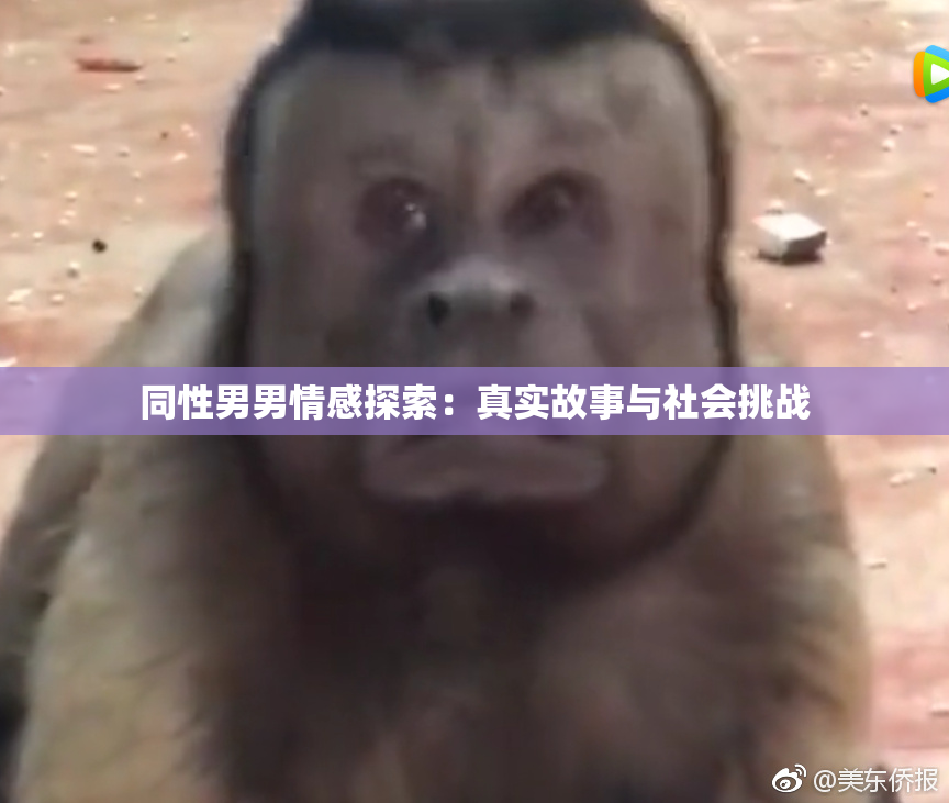 同性男男情感探索：真实故事与社会挑战