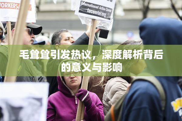 毛耸耸引发热议，深度解析背后的意义与影响