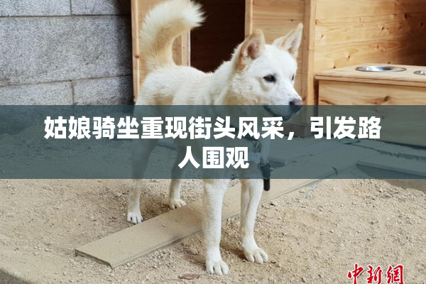 姑娘骑坐重现街头风采，引发路人围观