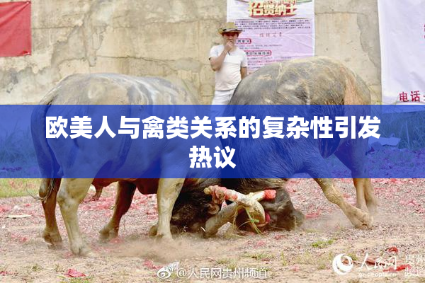 欧美人与禽类关系的复杂性引发热议