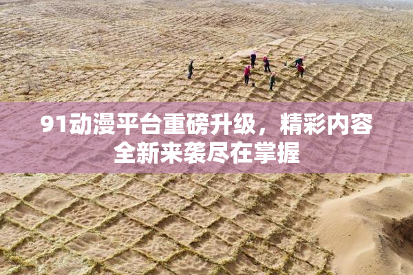 91动漫平台重磅升级，精彩内容全新来袭尽在掌握