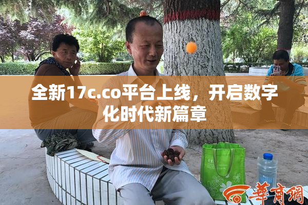 全新17c.co平台上线，开启数字化时代新篇章