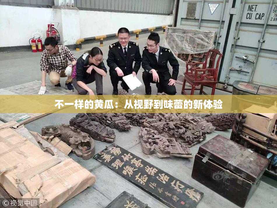 不一样的黄瓜：从视野到味蕾的新体验