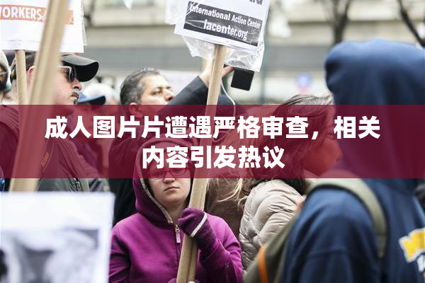 成人图片片遭遇严格审查，相关内容引发热议
