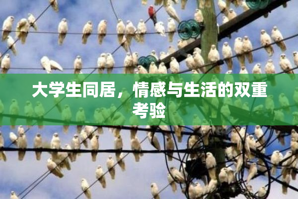 大学生同居，情感与生活的双重考验