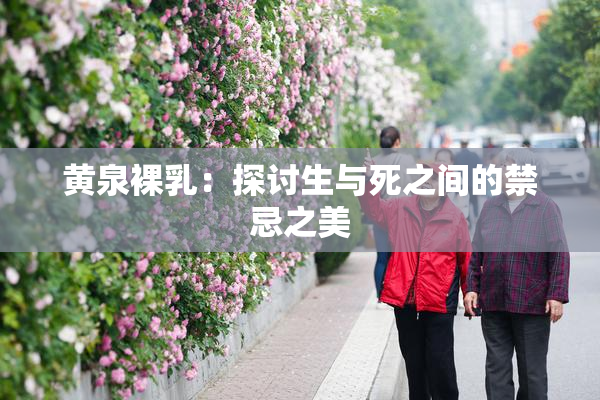 黄泉裸乳：探讨生与死之间的禁忌之美