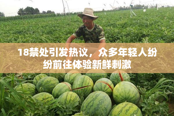 18禁处引发热议，众多年轻人纷纷前往体验新鲜刺激