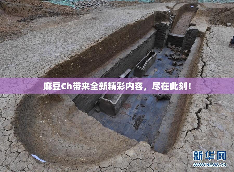 麻豆Ch带来全新精彩内容，尽在此刻！