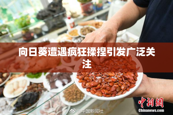 向日葵遭遇疯狂揉捏引发广泛关注