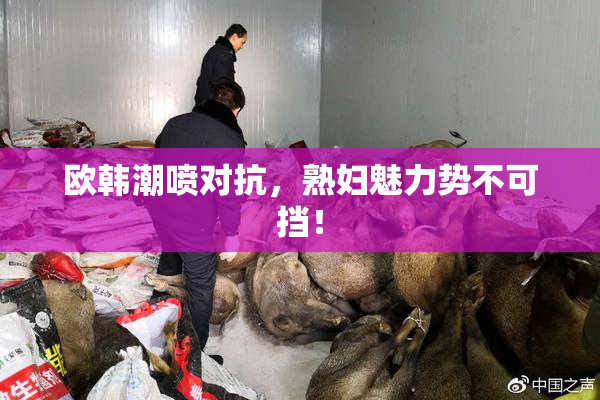欧韩潮喷对抗，熟妇魅力势不可挡！