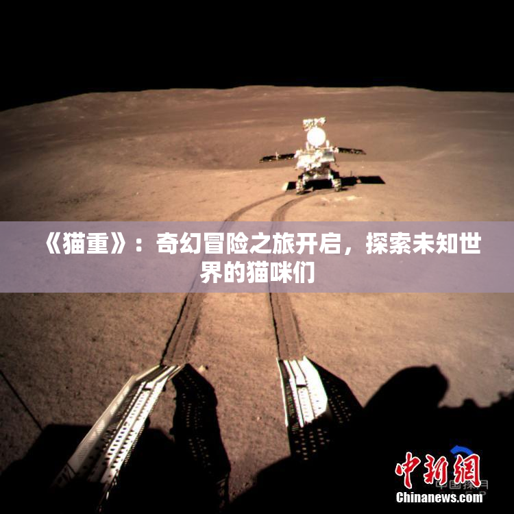 《猫重》：奇幻冒险之旅开启，探索未知世界的猫咪们
