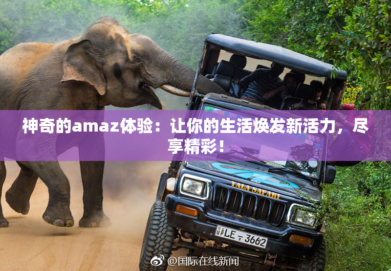 神奇的amaz体验：让你的生活焕发新活力，尽享精彩！