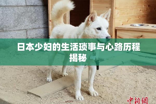 日本少妇的生活琐事与心路历程揭秘