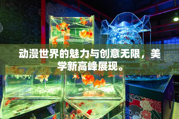 动漫世界的魅力与创意无限，美学新高峰展现。