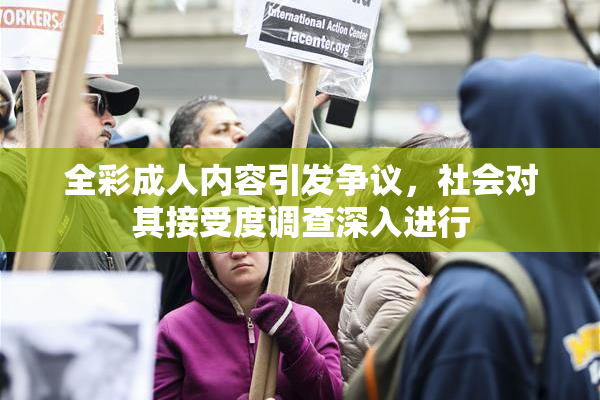 全彩成人内容引发争议，社会对其接受度调查深入进行